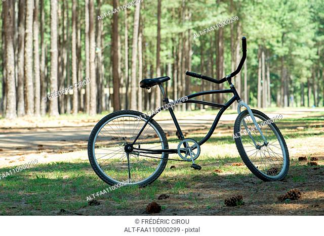 Bicycle in countryside