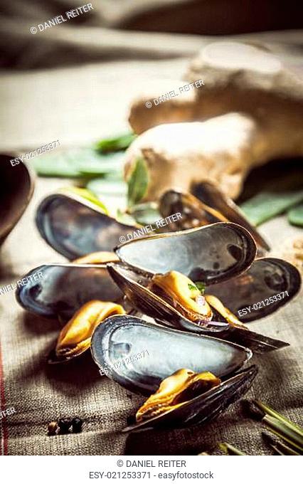 Fresh boiled mussels for a seafood dinner lying on a kitchen cloth with spices and ingredients, selective focus with copyspace