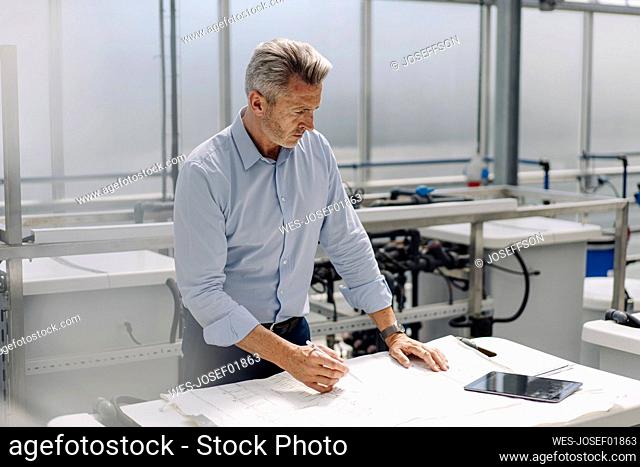 Businessman analyzing blueprint on table in greenhouse