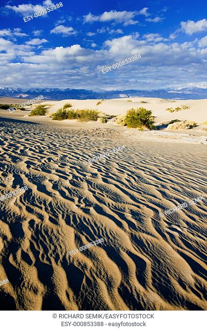 Stovepipe Wells sand dunes, Death Valley National Park, California, USA