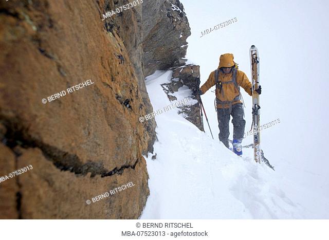 Mountaineer, ski tour to Mittlerer Guslarspitze Peak, Ötztal Alps, Tyrol, Austria