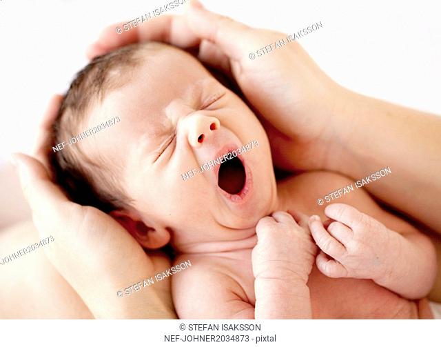 Hands holding newborn baby