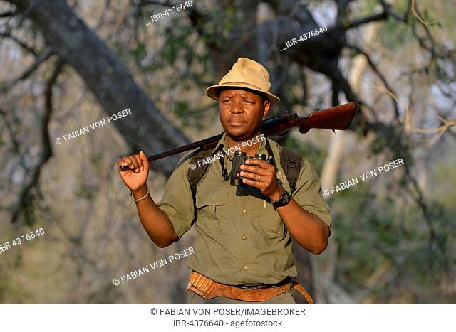 Guide with binoculars and rifle on a walking safari, Mana Pools National Park, Mashonaland West Province, Zimbabwe