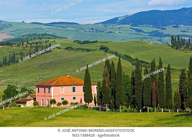 Farm with cypress trees, fields and farmhouses, Tuscany Landscape, Val d'Orcia, UNESCO world heritage site, Pienza, Siena province, Tuscany, Italy