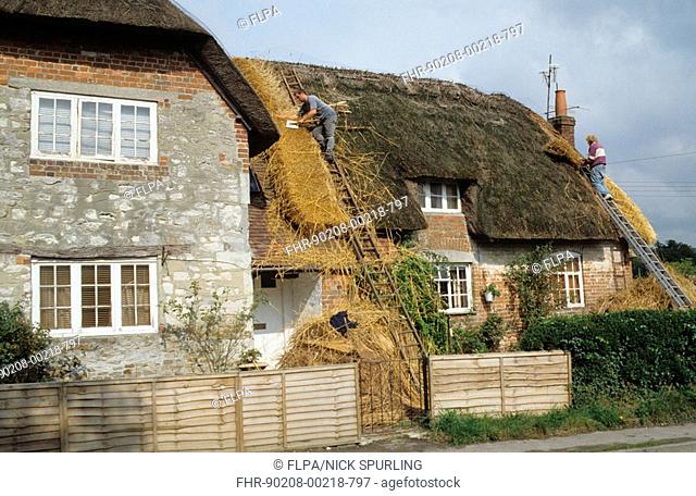 Thatching, thatchers working on roof, Kingston Lisle, Oxfordshire, England