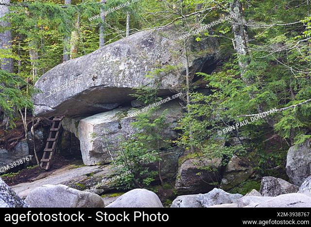 Wooden ladder along the Pemigewasset River in the general area of Frank W. Whitehouseâ. . s 1890s mill site in Franconia Notch in Lincoln