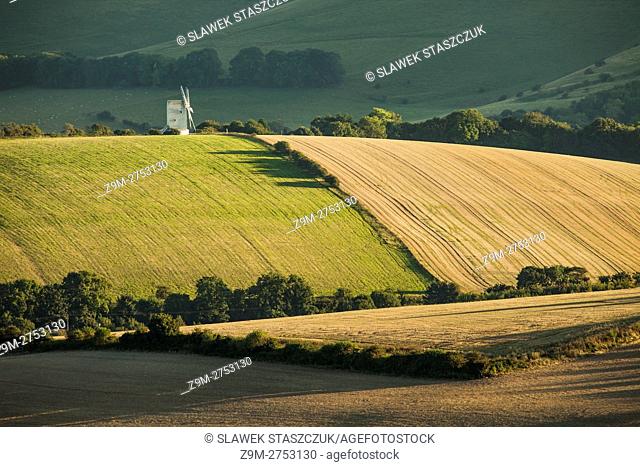 Late summer afternoon in South Downs National Park near Lewes, East Sussex, England