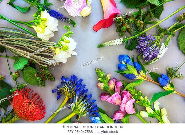 Flowers composition on a gray paper background