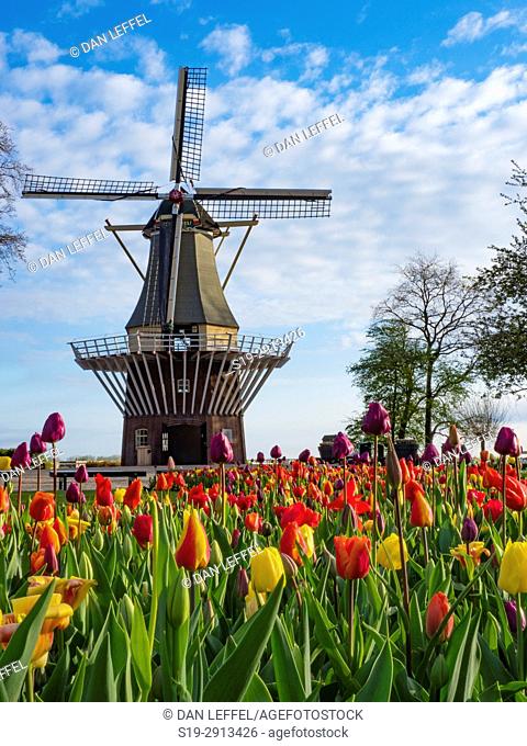 Holland Keukenhof Gardens Windmill