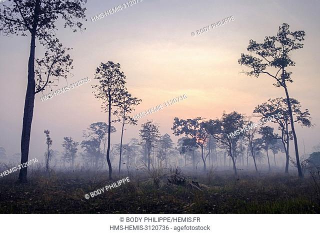 Cambodia, Preah Vihear province, near Sra Em, devastated landscape by slash and burn cultivation