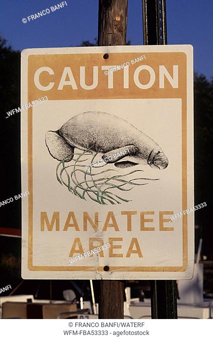 Manatee Caution Notice, Trichechus manatus latriostris, Crystal River, Florida, USA