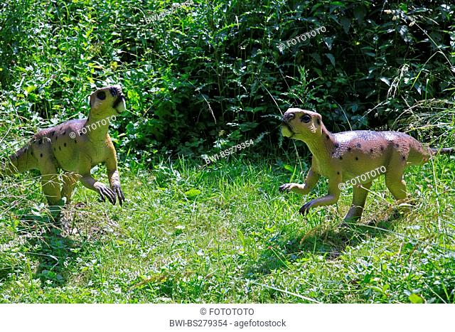 Parrot Lizard Psittacosaurus, two individuals on a clearing