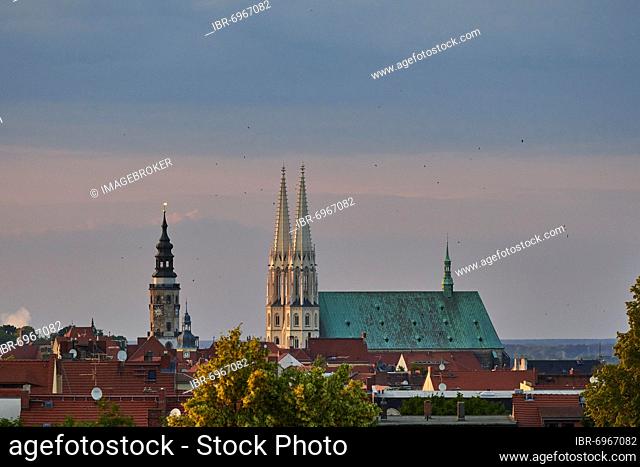 Parish church St. Peter and Paul and town hall tower, evening mood, swift, Görlitz, Saxony, Germany, Europe