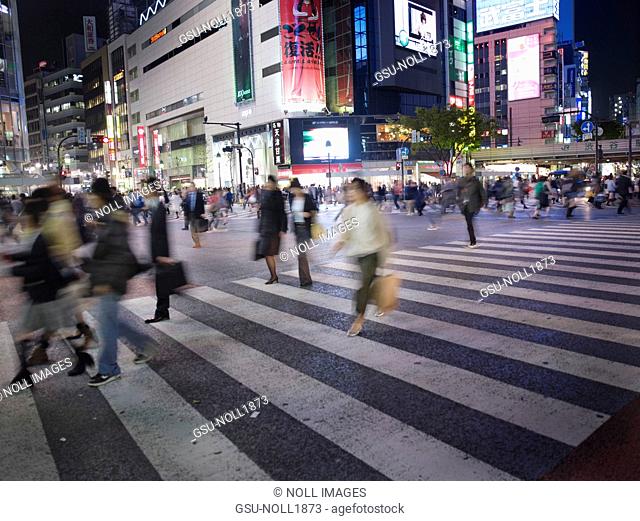 Crosswalk, Crowd, Tokyo, Japan