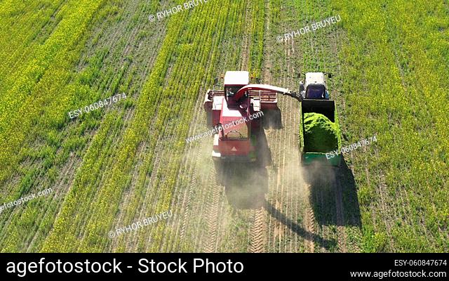 4K Aerial Elevated View Of Combine Harvester And Tractor Working Together In Field. Harvesting Of Oilseed In Spring Season