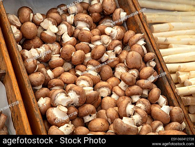 Close up immature brown champignon edible mushrooms (Agaricus bisporus) in wooden box at retail display, high angle view