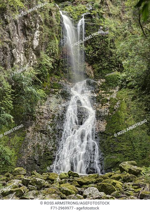 Paranui Falls, also known as Pukenui Falls, is located at A. H. Reed Memorial Park, Whangarei. Northland, New Zealand