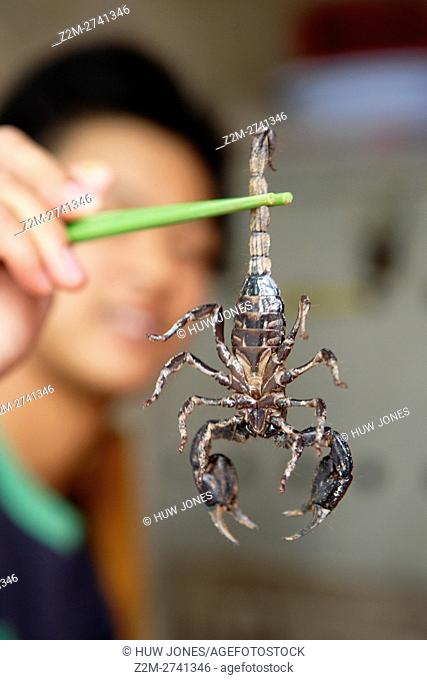 Vendor holding a scorpion in chopcticks at the Peaceful Market, Guangzhou, Canton, China
