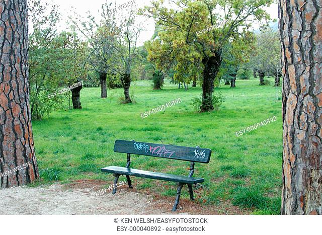 Park bench. San Lorenzo del Escorial. Madrid province, Spain