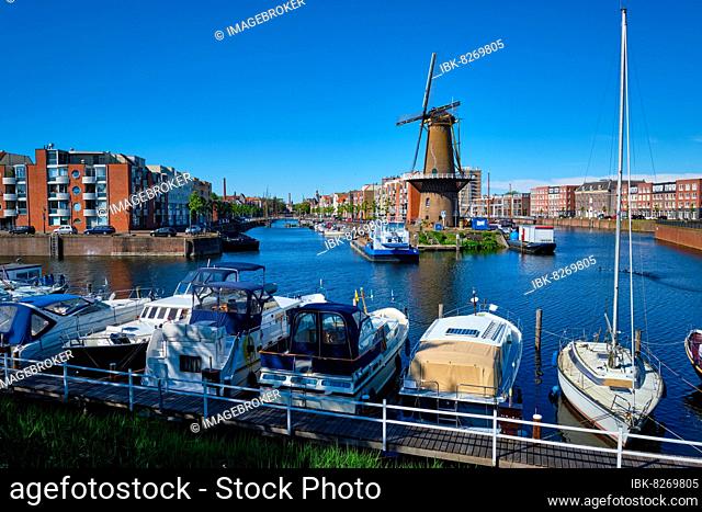View of the harbour of Delfshaven with the old grain mill known as De Destilleerketel, Rotterdam, Netherlands