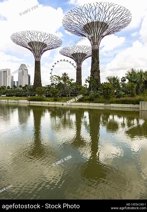 Sculptural Supertrees reflected in Dragonfly Lake at Gardens by