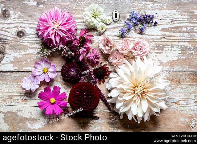 Various flowers flat laid against wooden surface