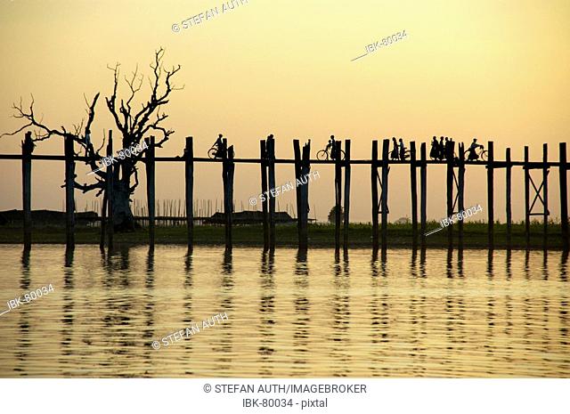 U Bein Bridge with old tree in evening light Amarapura Mandalay Burma