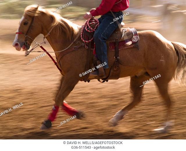 Horses and riders in rodeo event. Tucson, Arizona, USA