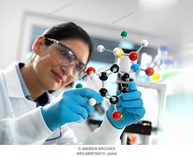 Biotech Research, Scientist examining a ball and stick molecular model of a chemical formula during a experiment
