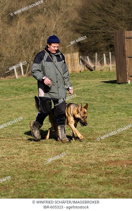 Man training his German shepherd dog on foot, obedience training, Daun, Vulkaneifel, Germany, Europe