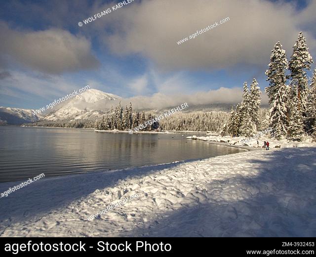 View of the shoreline and the snow-covered forest at Lake Wenatchee State Park in eastern Washington State, USA