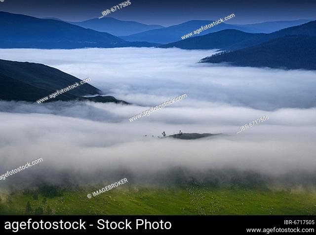 Morning fog in Orkhon riverbank, Arkhangai province, Mongolia, Asia
