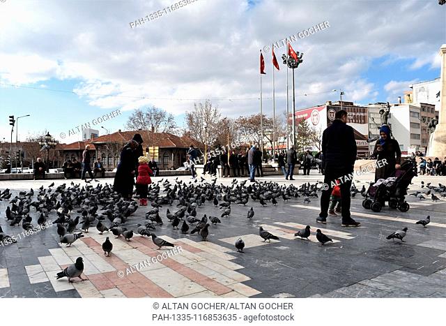 12 February 2019, Turkey, Ankara: Members of families take pictures among pigeons on a square in the historic Ulus district