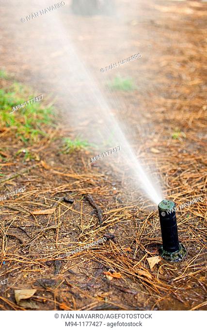 sprinkler irrigating