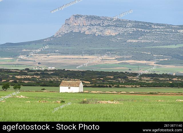Cottage in a green wheat field. Sierra del Mugrón in the background. Almansa. Albacete