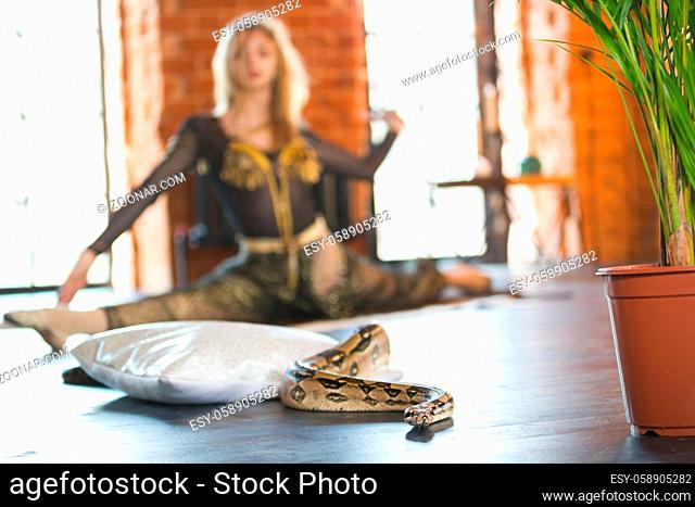 Python on the floor in front of woman in bright costume performs a twine, horizontal