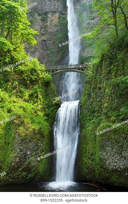 Footbridge Over Multnomah Waterfalls Llarch Mountain Columbia River Gorge Oregon USA