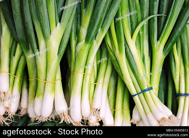 Vegetable sale on the market with spring onions, close-up