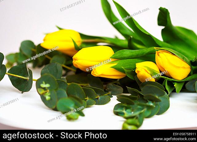 beautiful yellow tulips with eucalyptus branches on a white table