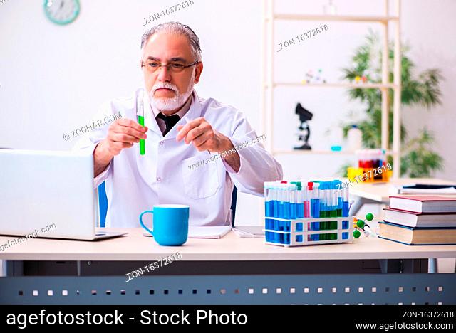 Senior male chemist working in the lab