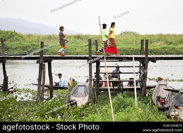 Gangway on stilts and floating gardens, Maing Thauk village, Inle lake, state of Shan, Myanmar, Asia