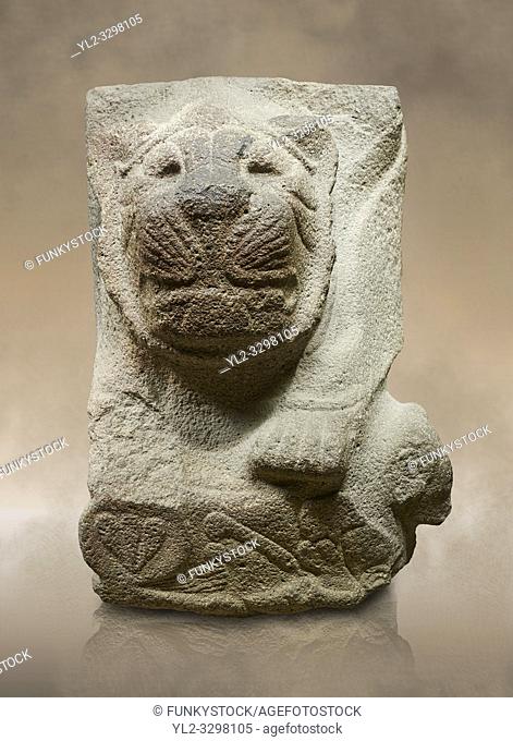 Alaca Hoyuk - Hittite lion sculpture corner Stone . Andesite. Alacahoyuk, 1399 - 1301 B. C. Anatolian Civilisations Museum, Ankara, Turkey.