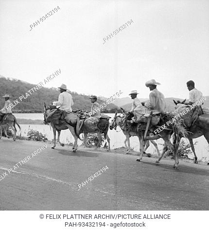 Note the position of the riders in the tailoring seat on the loaded mules. In the background a sea bay, probably the lake near Barranquilla, Colombia, 1958