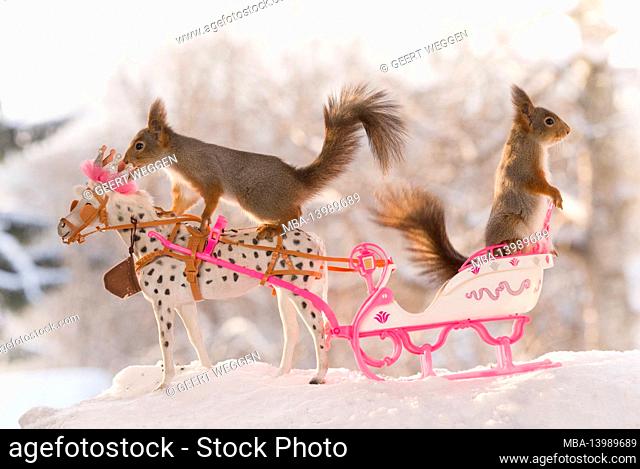 red squirrels and an horse with a royal sleigh
