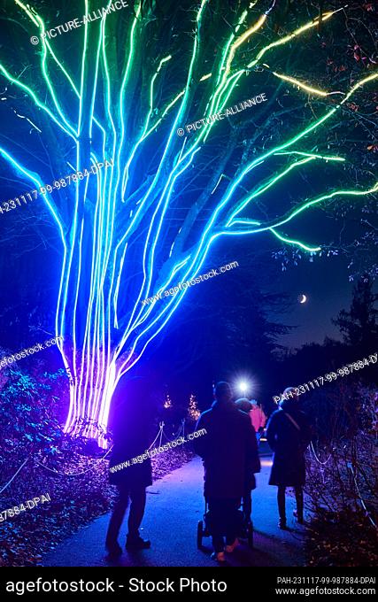 17 November 2023, Hamburg: The first visitors walk past light installations in the ""Christmas Garden"" Loki-Schmidt-Garten