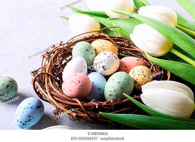 Beautiful white tulips with colorful quail eegs in nest on light gray stone background. Spring and Easter holiday concept