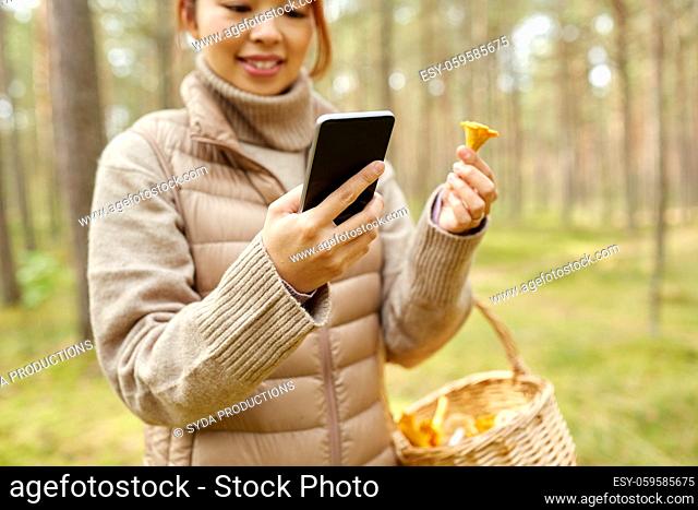 asian woman using smartphone to identify mushroom