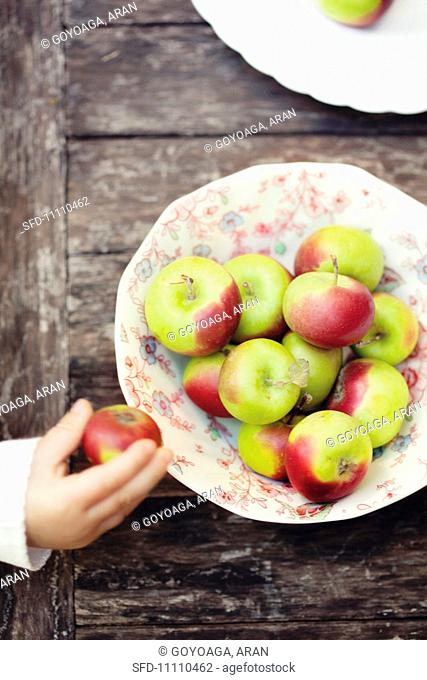 Freshly picked apples on a plate