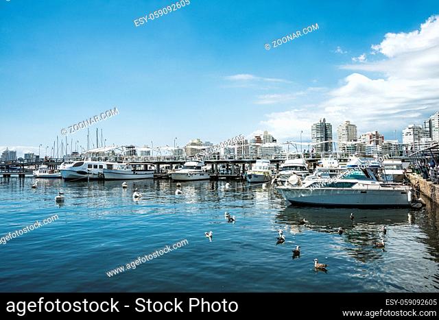 Punta del Este, Uruguay, February 29, 2016 - Yachts of the rich people in Punta del Este harbor, Uruguay