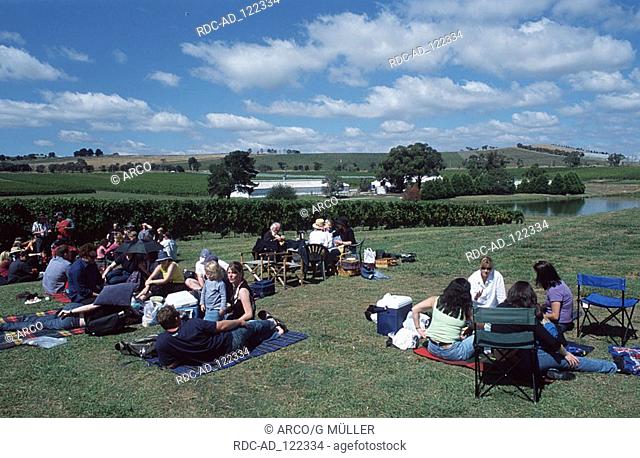 Tourists having picnic and wine testing Yarra Valley Victoria Australia